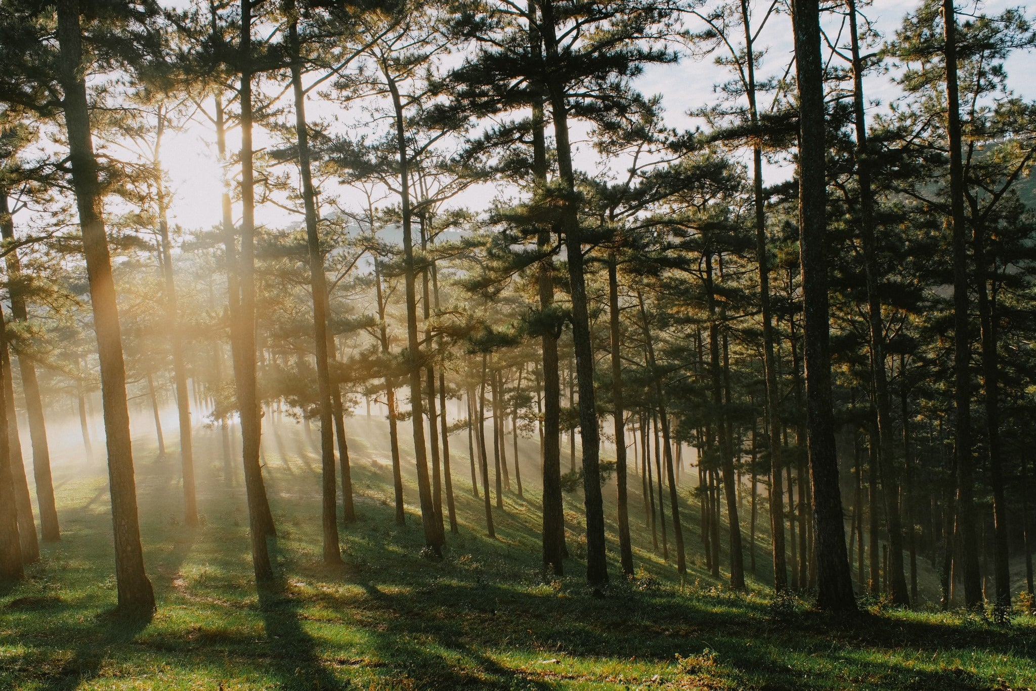 Đà Lạt ảnh 5 Da Lat anh 5