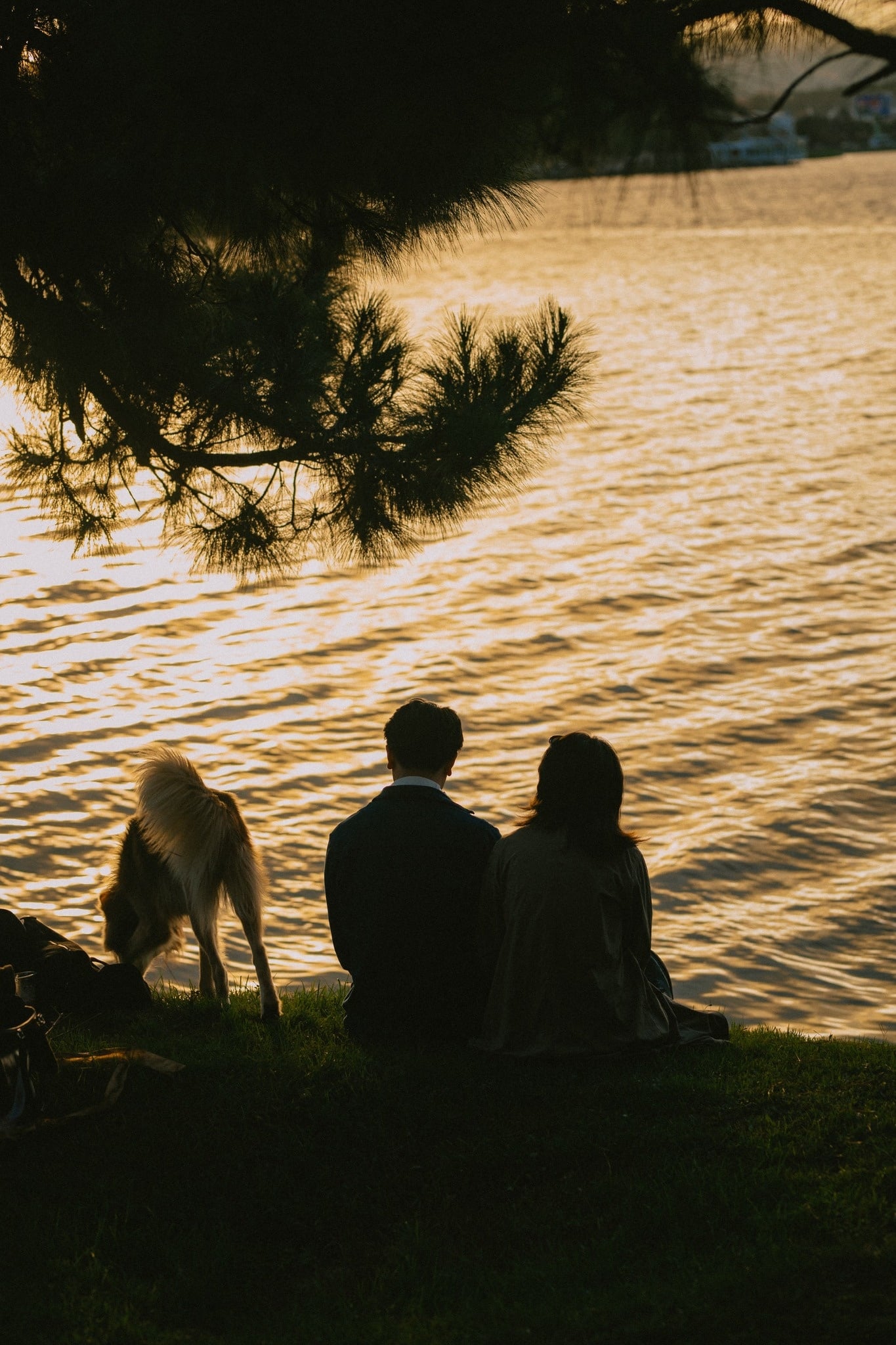 Đà Lạt ảnh 6 Da Lat anh 6