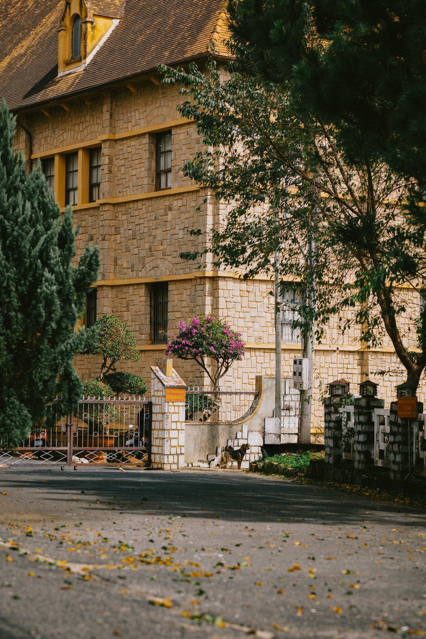 Đà Lạt ảnh 9 Da Lat anh 9