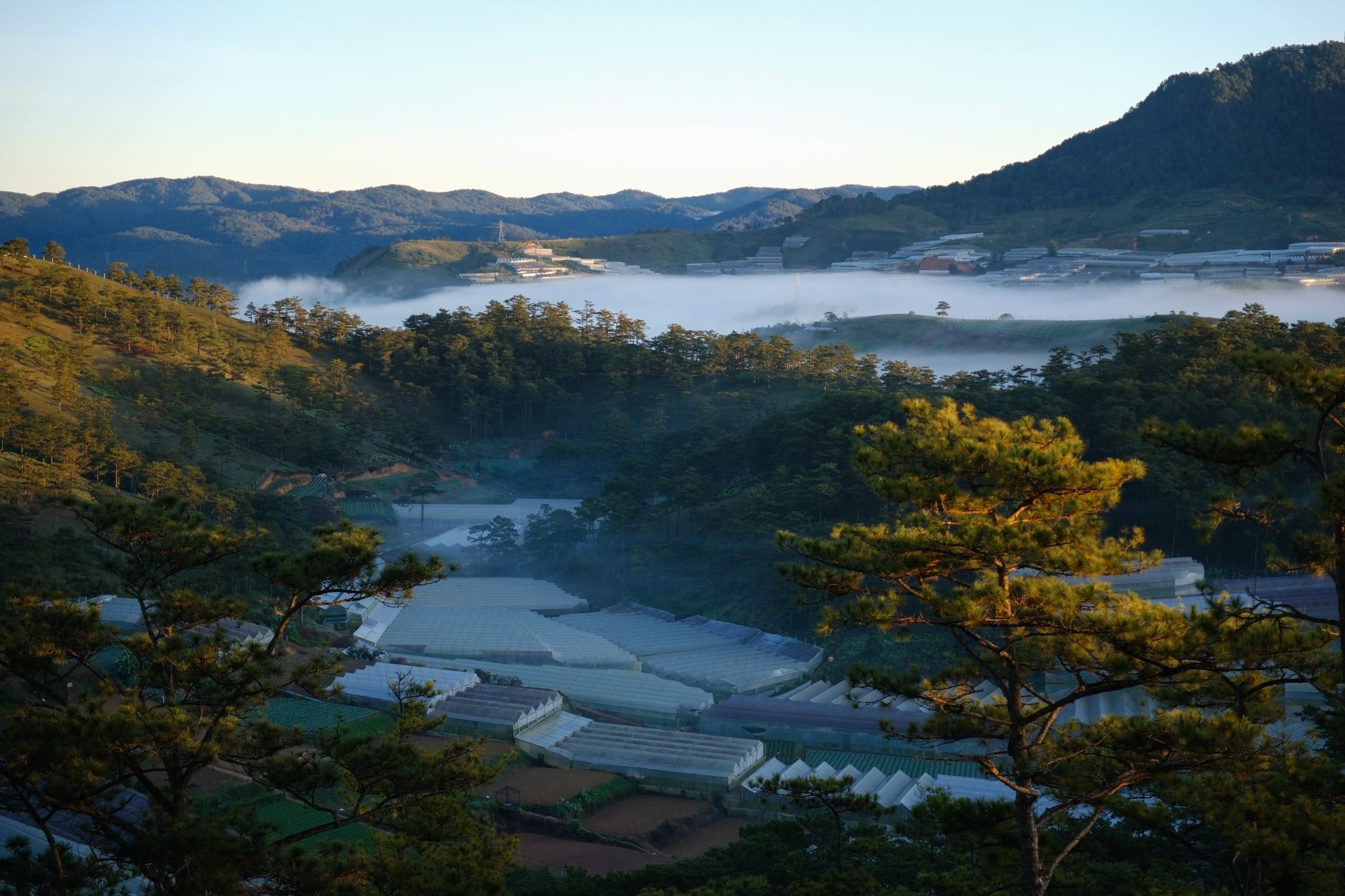 Đà Lạt ảnh 10 Da Lat anh 10