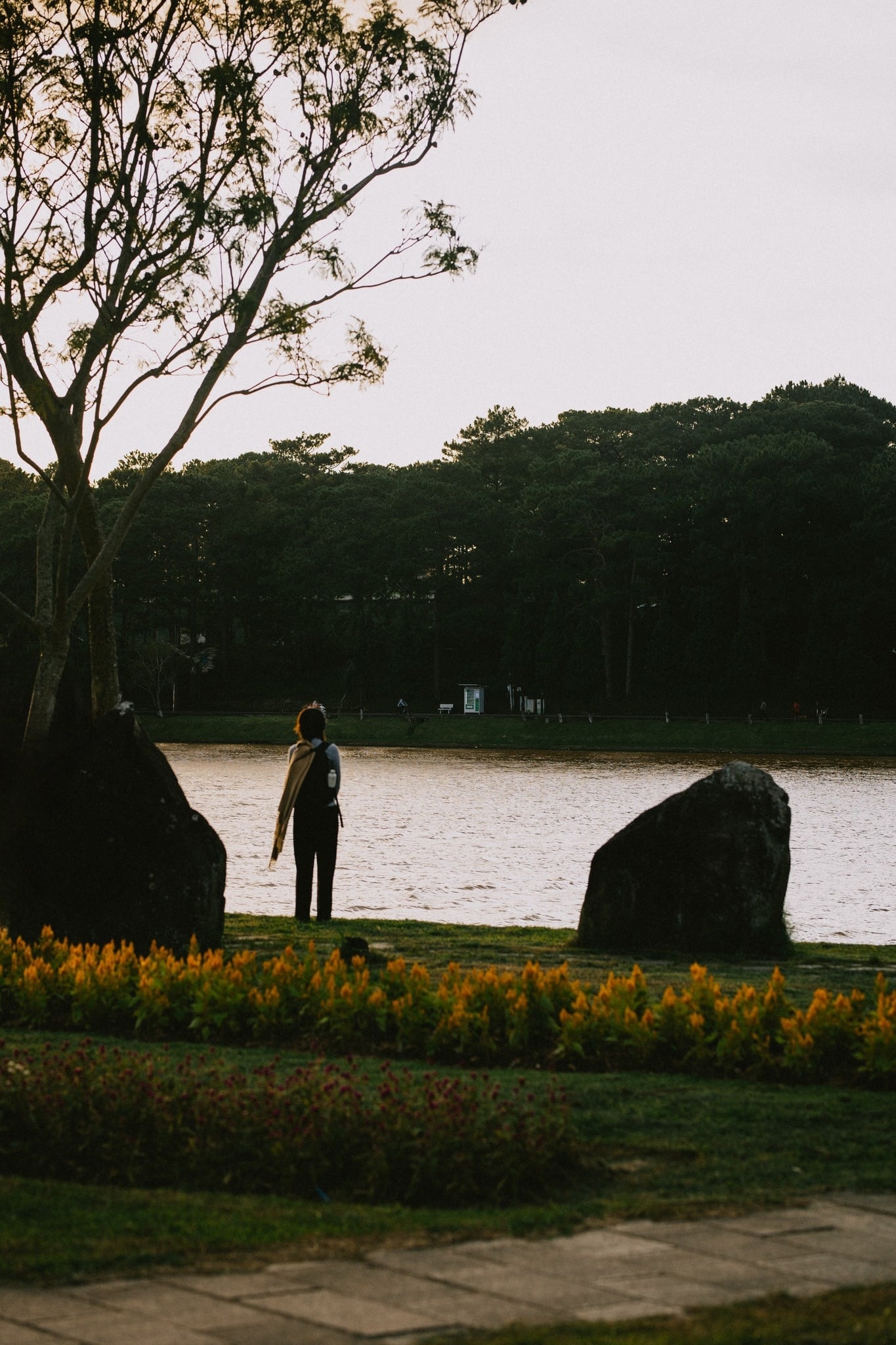 Đà Lạt ảnh 12 Da Lat anh 12