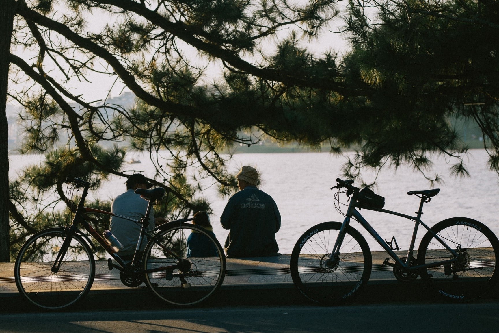 Đà Lạt ảnh 15 Da Lat anh 15