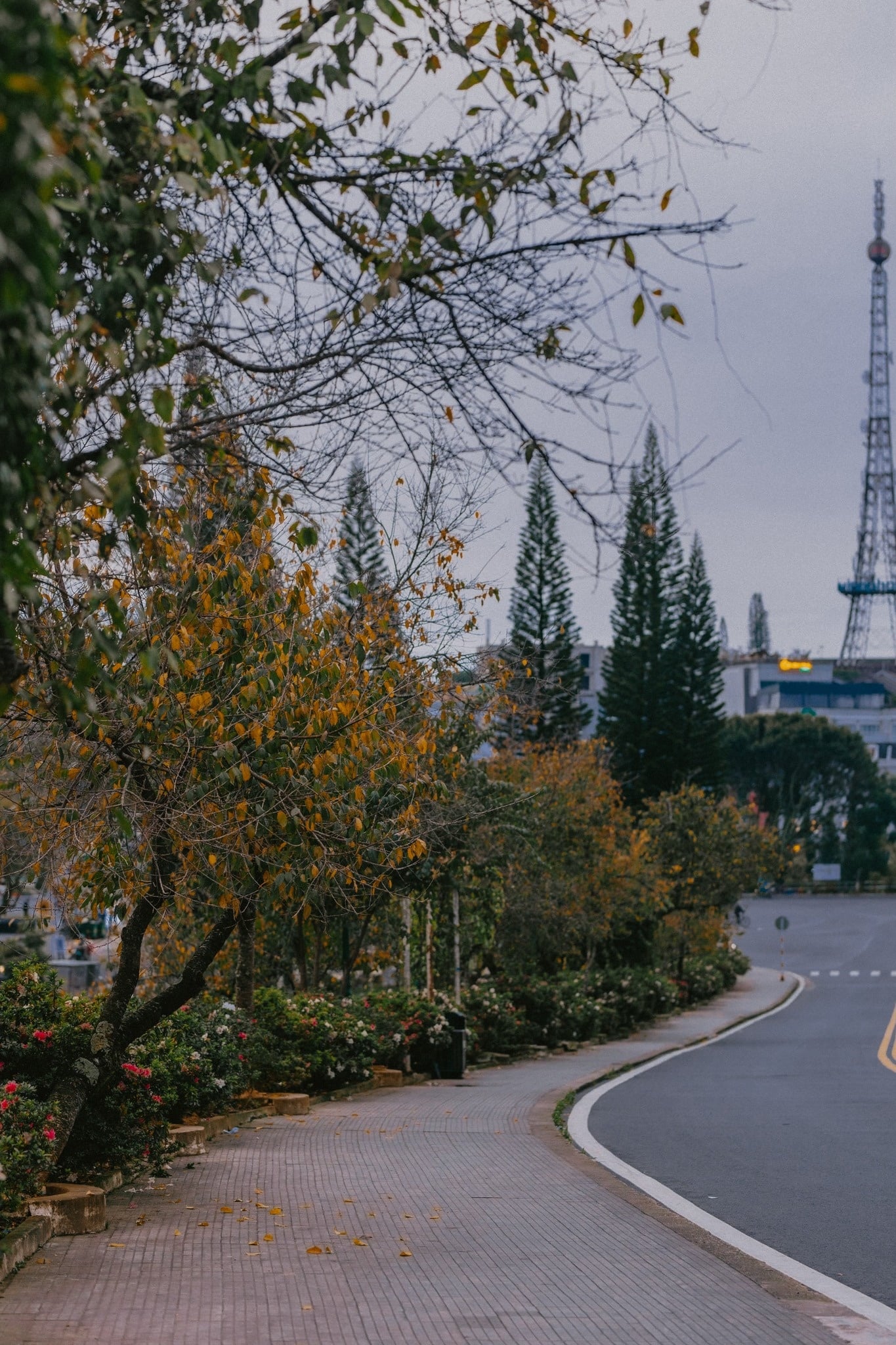 Đà Lạt ảnh 17 Da Lat anh 17