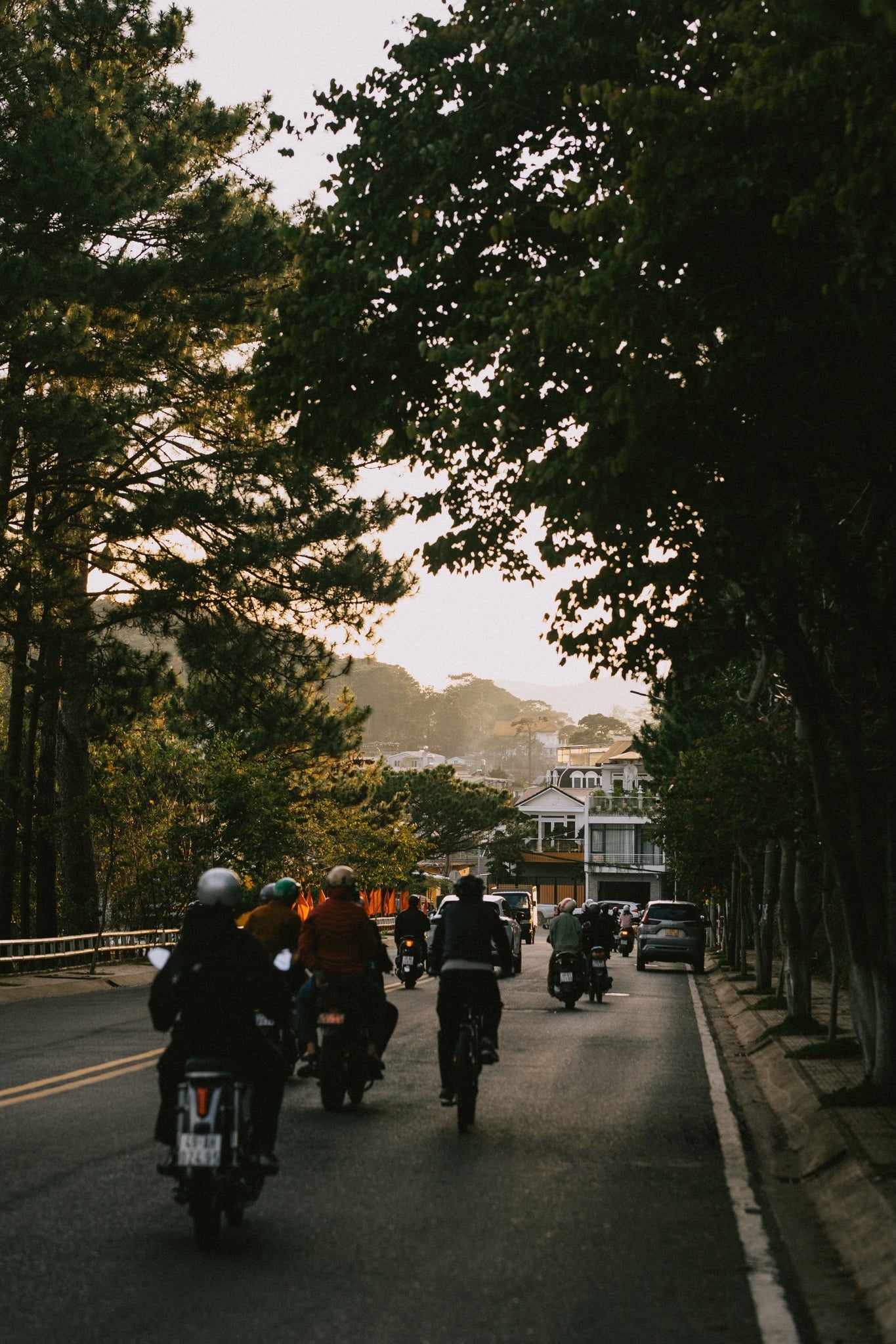 Đà Lạt ảnh 20 Da Lat anh 20