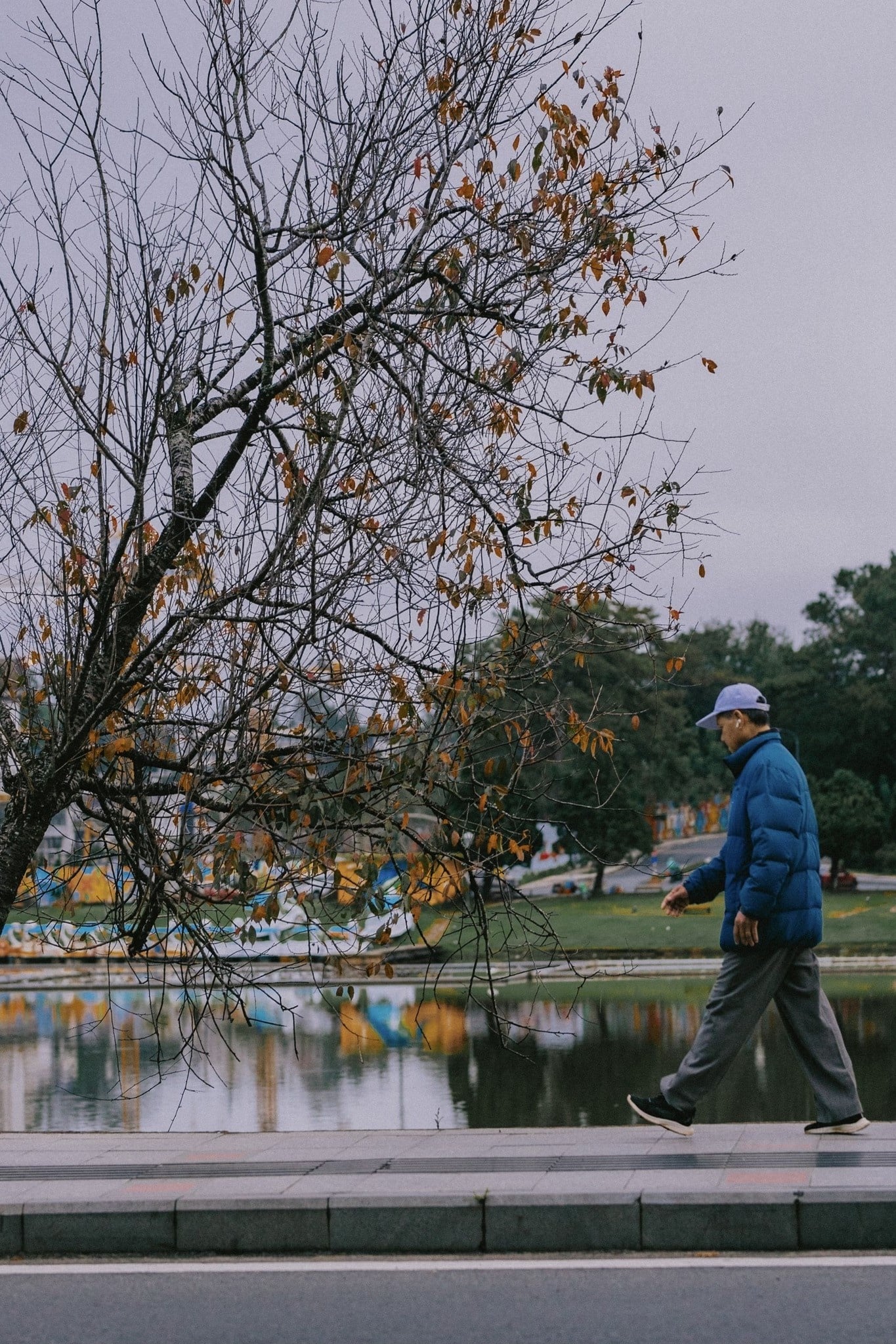 Đà Lạt ảnh 21 Da Lat anh 21