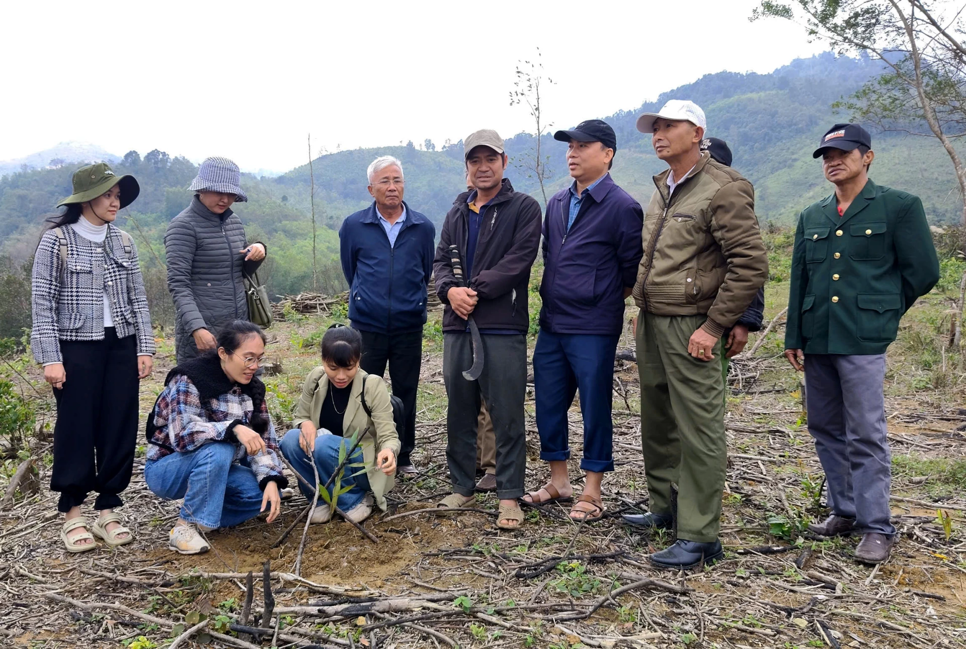 Delegierte besuchen ein Modell für den intensiven Anbau von Hybrid-Akazienwäldern in der Gemeinde Huong Phung - Foto: T.Long.