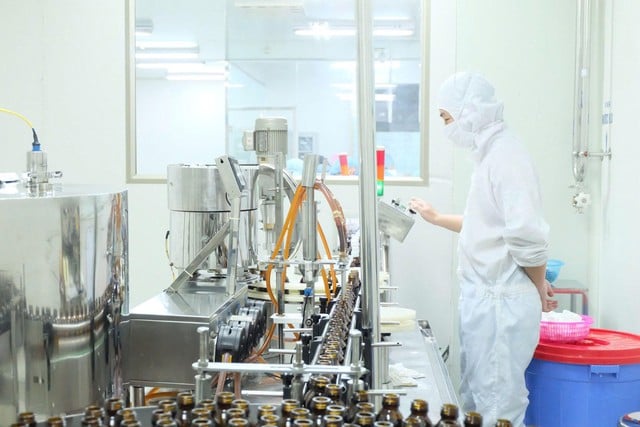 Qu'est-ce qui rend la certification GMP-OMS de l'usine Nam Duoc si spéciale ? - Photo 2. Nhà máy Nam Dược đạt chuẩn GMP-WHO gì đặc biệt?- Ảnh 2.