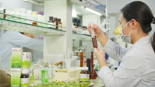 Qu'est-ce qui rend la certification GMP-OMS de l'usine Nam Duoc si spéciale ? - Photo 3. Nhà máy Nam Dược đạt chuẩn GMP-WHO gì đặc biệt?- Ảnh 3.