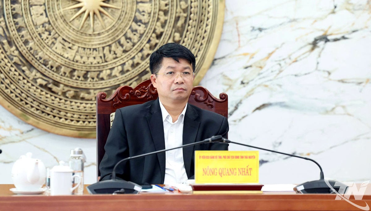 Soudruh Nong Quang Nhat, místopředseda provinčního lidového výboru, předsedal konferenci v online schůzce v provincii Thai Nguyen.