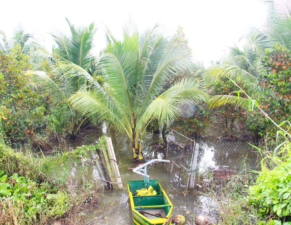 ជំនន់​ទឹក​ខ្លាំង​បាន​បង្ក​ទឹក​ជំនន់​ប៉ះពាល់​ដល់​ចម្ការ​ដំណាំ​ជា​ច្រើន​របស់​អ្នក​ស្រុក។