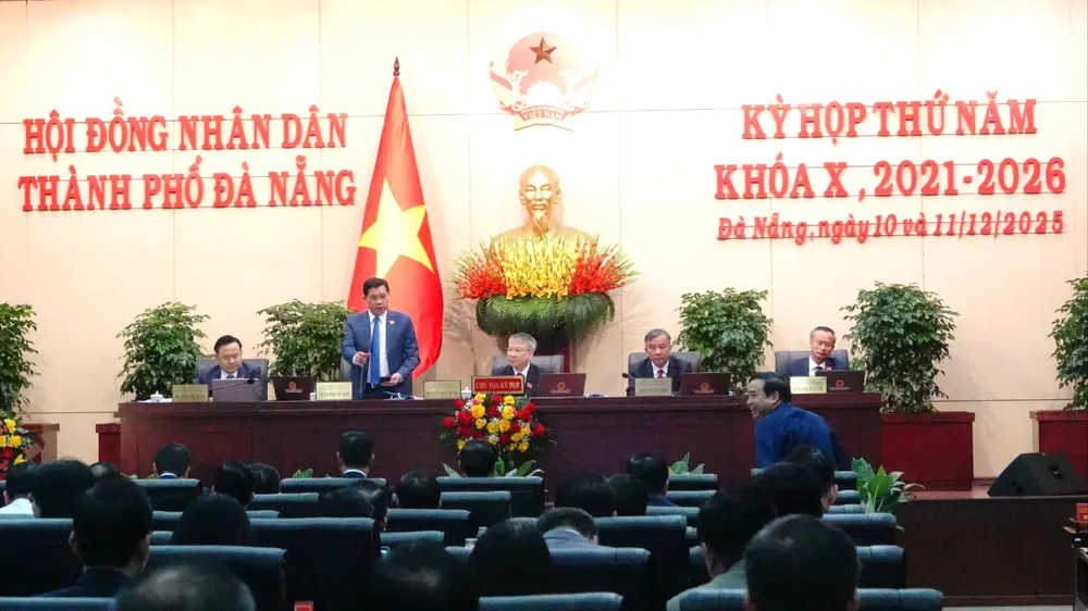 سیشن کا جائزہ۔ تصویر: Xuan Quynh