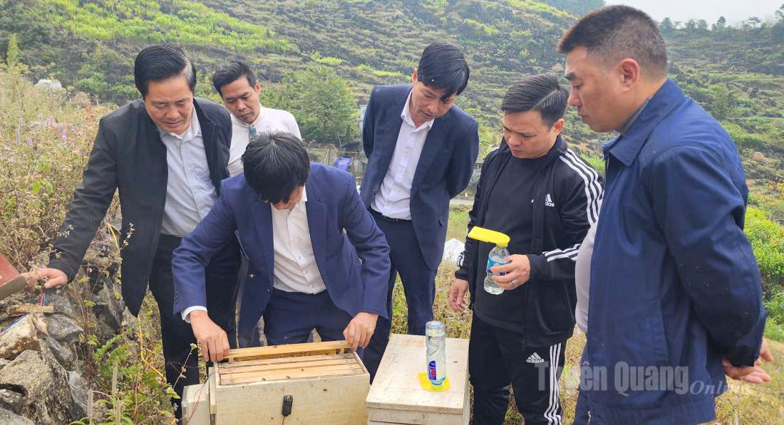 គណៈប្រតិភូបានទៅទស្សនាកសិដ្ឋានចិញ្ចឹមឃ្មុំ mint សម្រាប់ការផលិតទឹកឃ្មុំ។