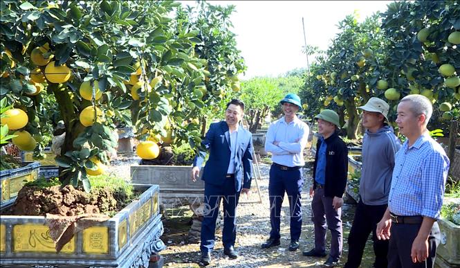 ចំណងជើងរូបថត