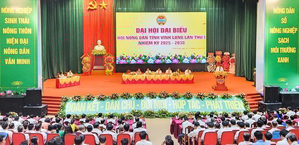 ទិដ្ឋភាពនៃសម័យប្រជុំត្រៀមសម្រាប់សមាជលើកទីមួយរបស់សមាគមកសិករខេត្ត Vinh Long អាណត្តិ 2025-2030។