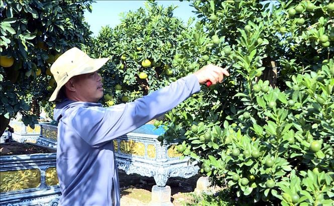 ចំណងជើងរូបថត