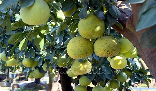 ចំណងជើងរូបថត