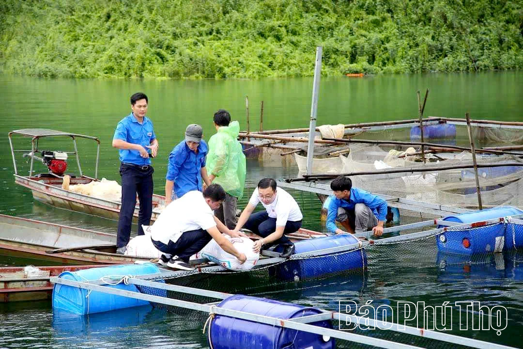 Het maximaliseren van de effectiviteit van het model voor lokale landbouwvoorlichtingsgroepen.