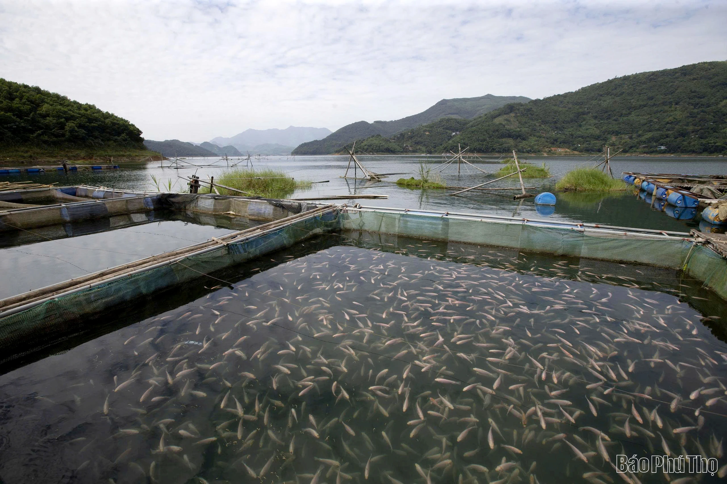 Het maximaliseren van de effectiviteit van het model voor lokale landbouwvoorlichtingsgroepen.