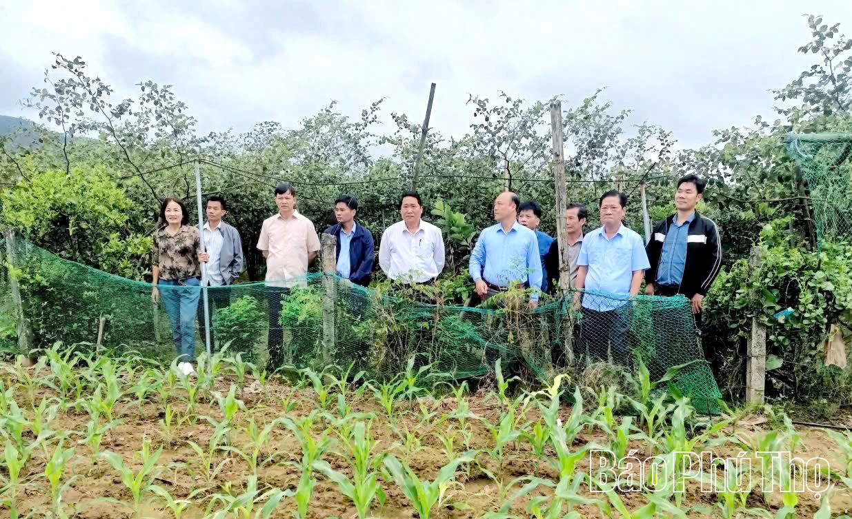Het maximaliseren van de effectiviteit van het model voor lokale landbouwvoorlichtingsgroepen.