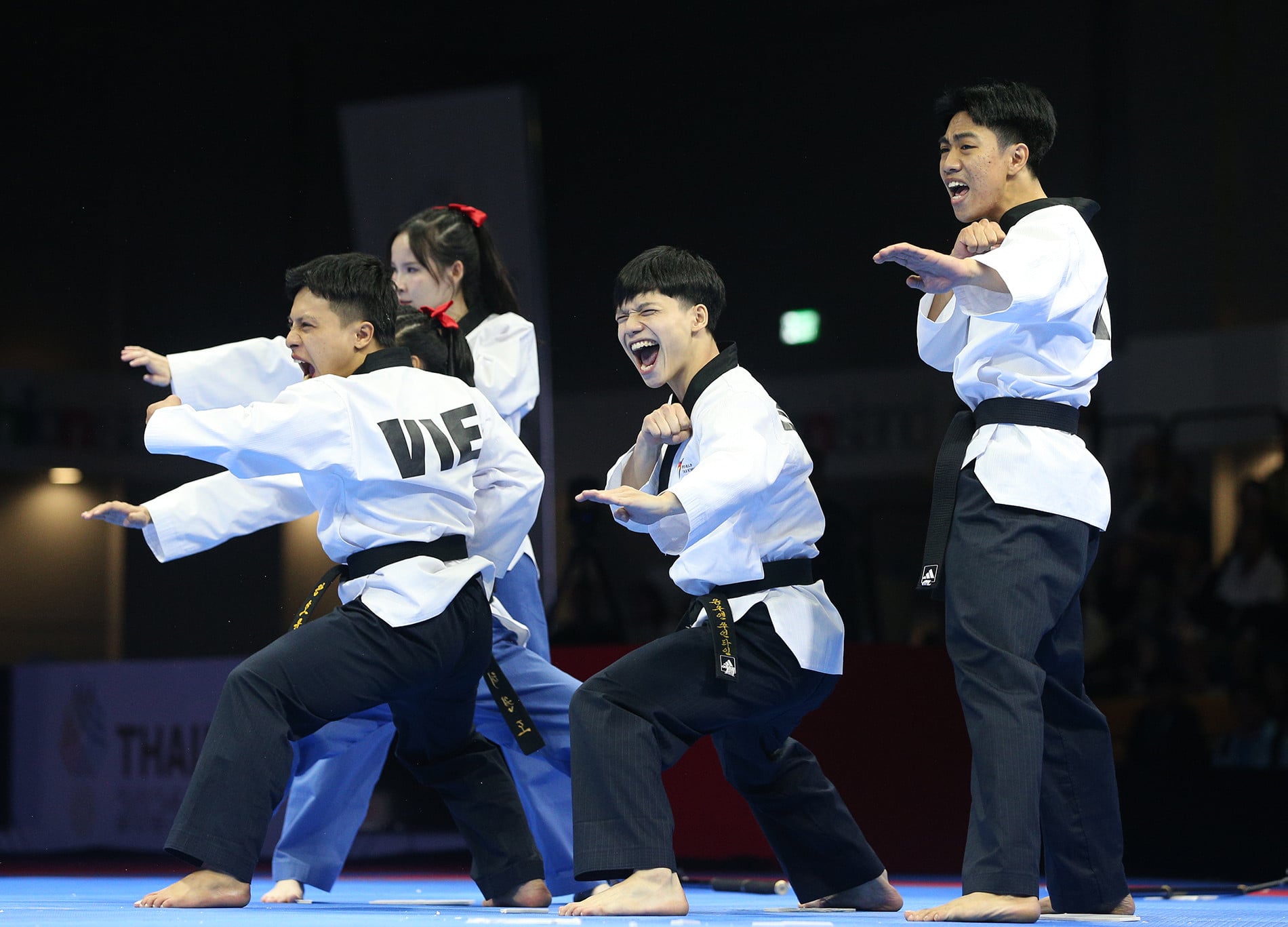 taekwondo vietnam 3.JPG