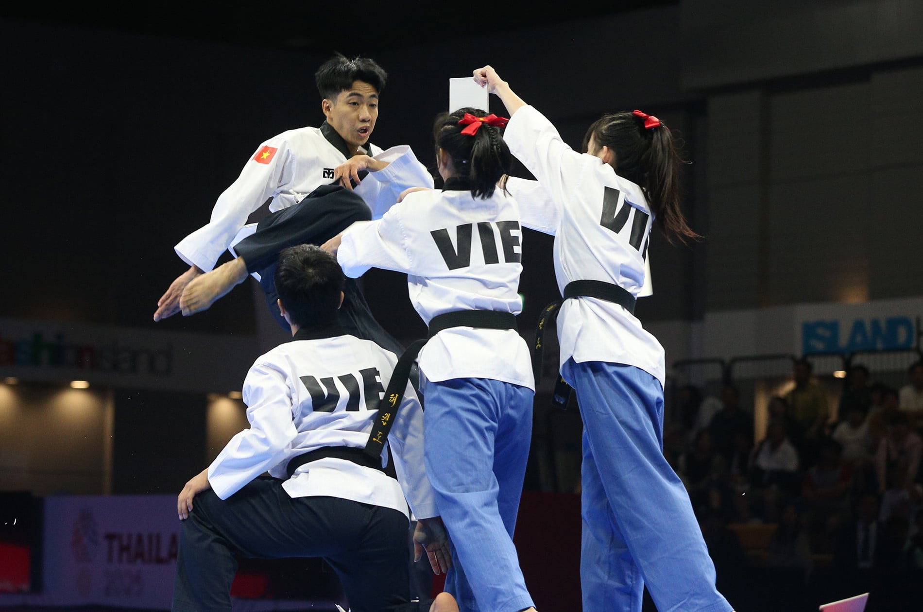 Taekwondo Vietnam 9.JPG