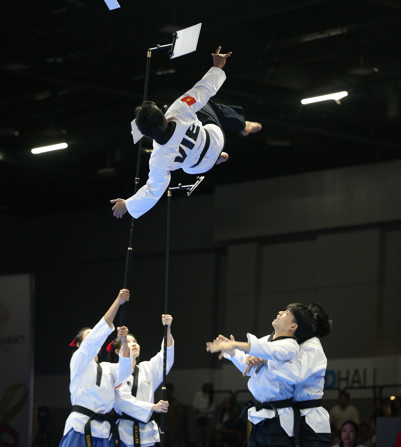 Taekwondo Vietnam 10.JPG