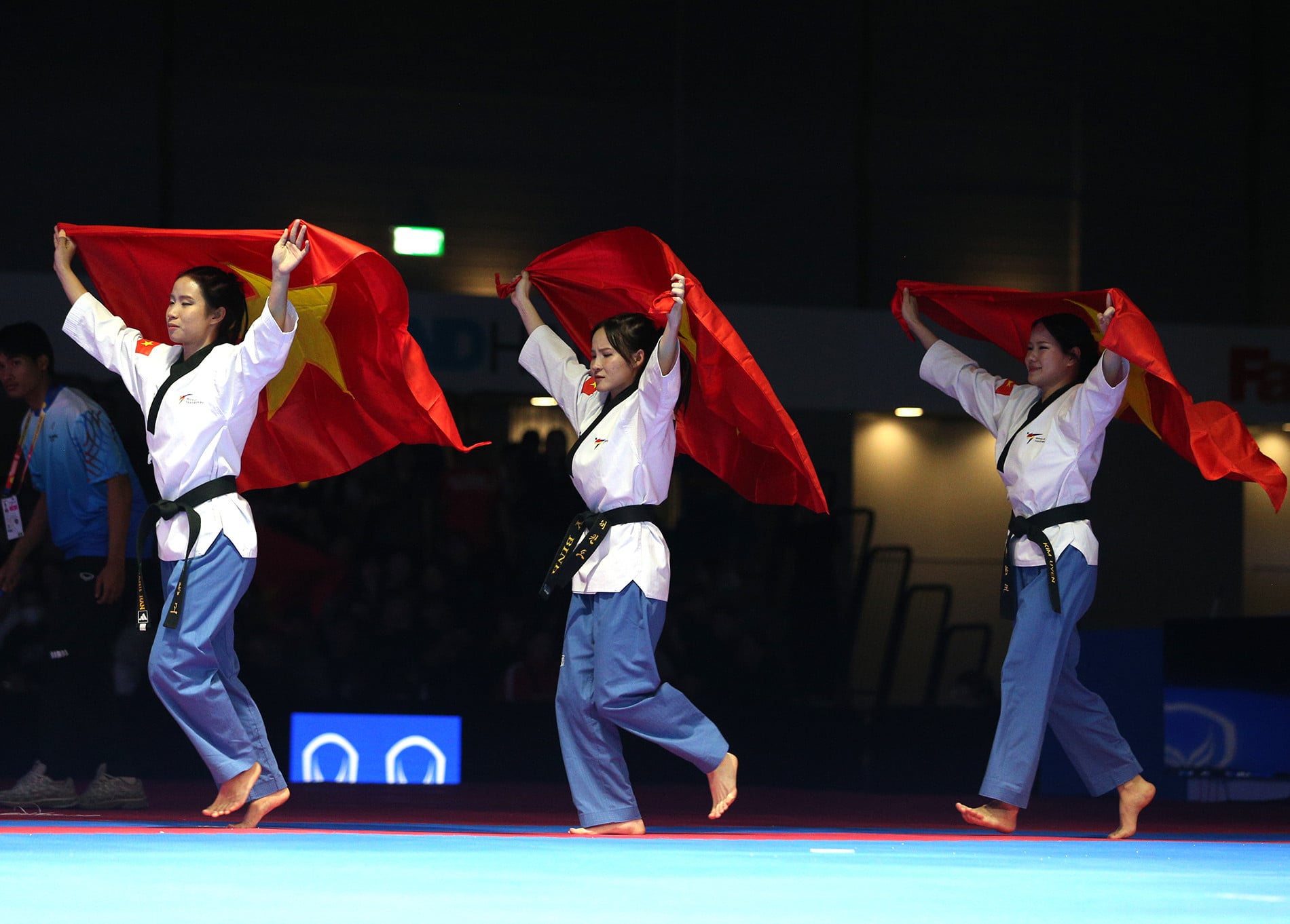 taekwondo vietnam 4.JPG