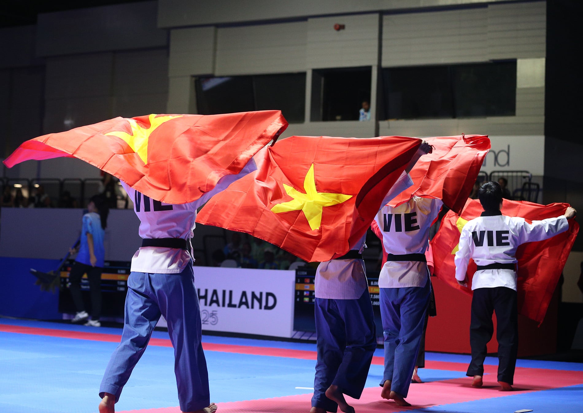 Taekwondo Vietnam 7.JPG