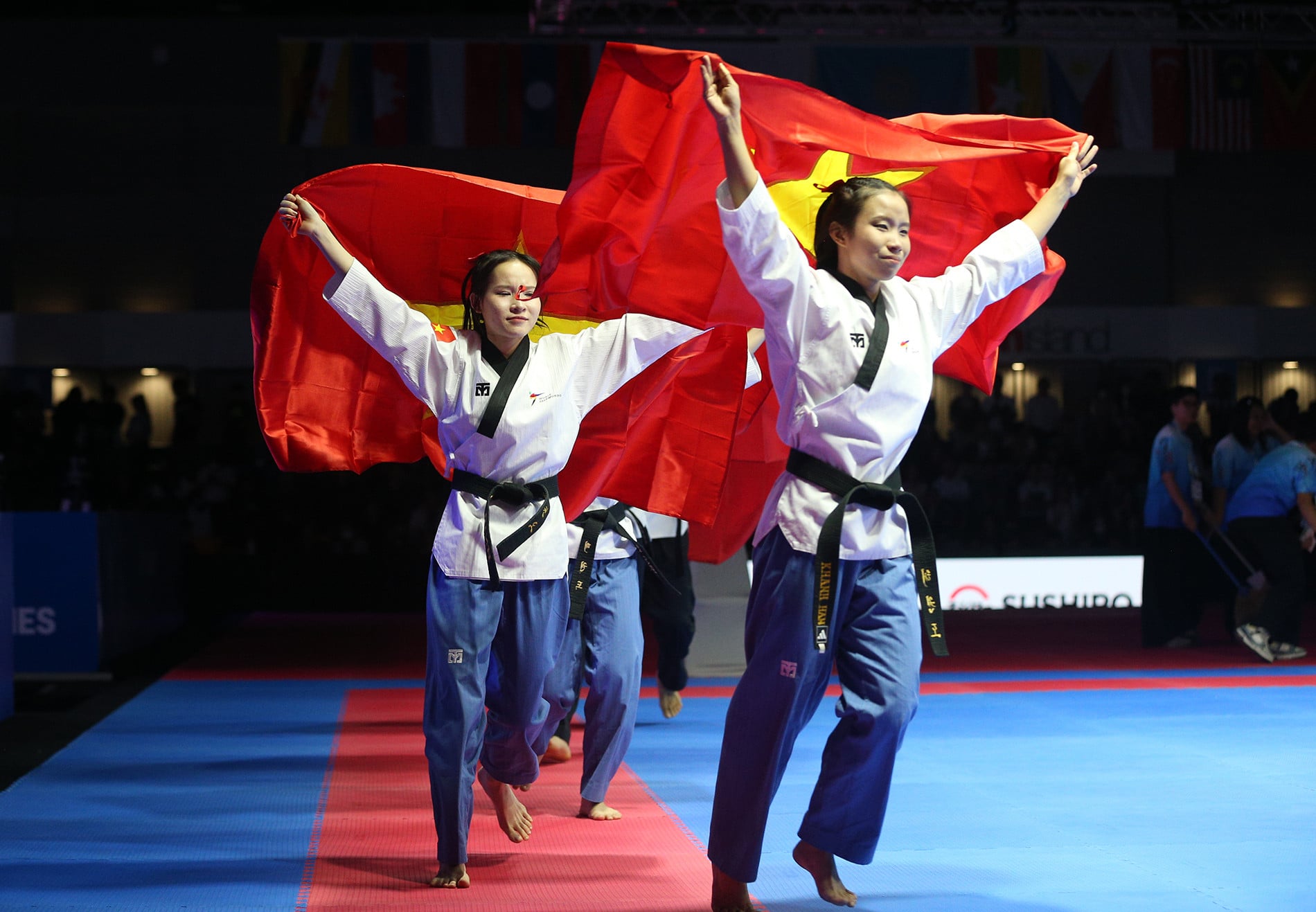 taekwondo vietnam 13.JPG