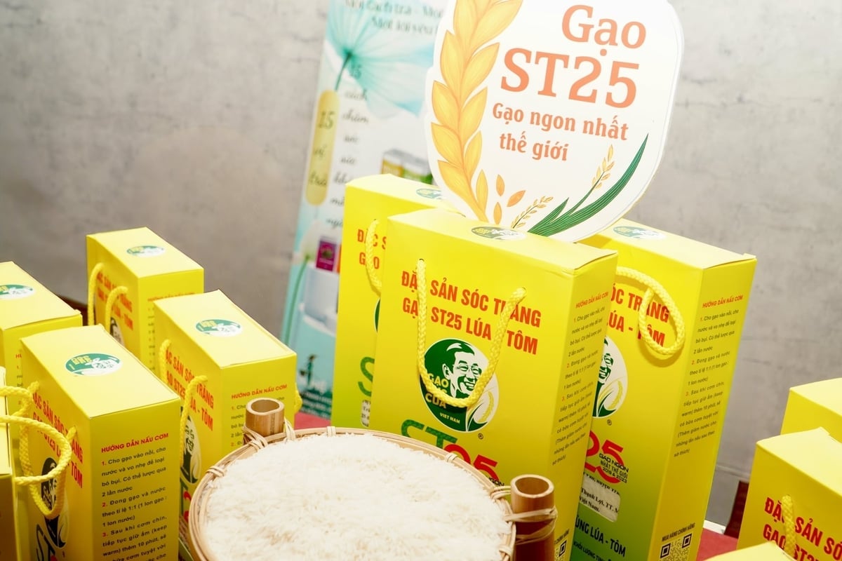 אורז ST25 טעים, עשיר במינרלים כאשר מגדלים אותו באזורי חוף או באזורי מחזור אורז-שרימפס. צילום: קים אן. ST25 cho gạo ngon, vị đậm đà và nhiều khoáng chất khi được trồng ở vùng ven biển hoặc khu vực luân canh lúa - tôm. Ảnh: Kim Anh.