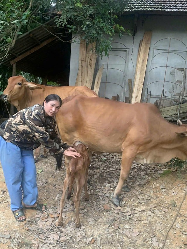 បច្ចេកវិជ្ជា “ចាប់រលក” ដើម្បីដាស់វិស័យទេសចរណ៍នៅតំបន់ភ្នំ Son Lam - រូបថត ១. “Bắt sóng” công nghệ để đánh thức du lịch vùng cao Sơn Lâm- Ảnh 1.