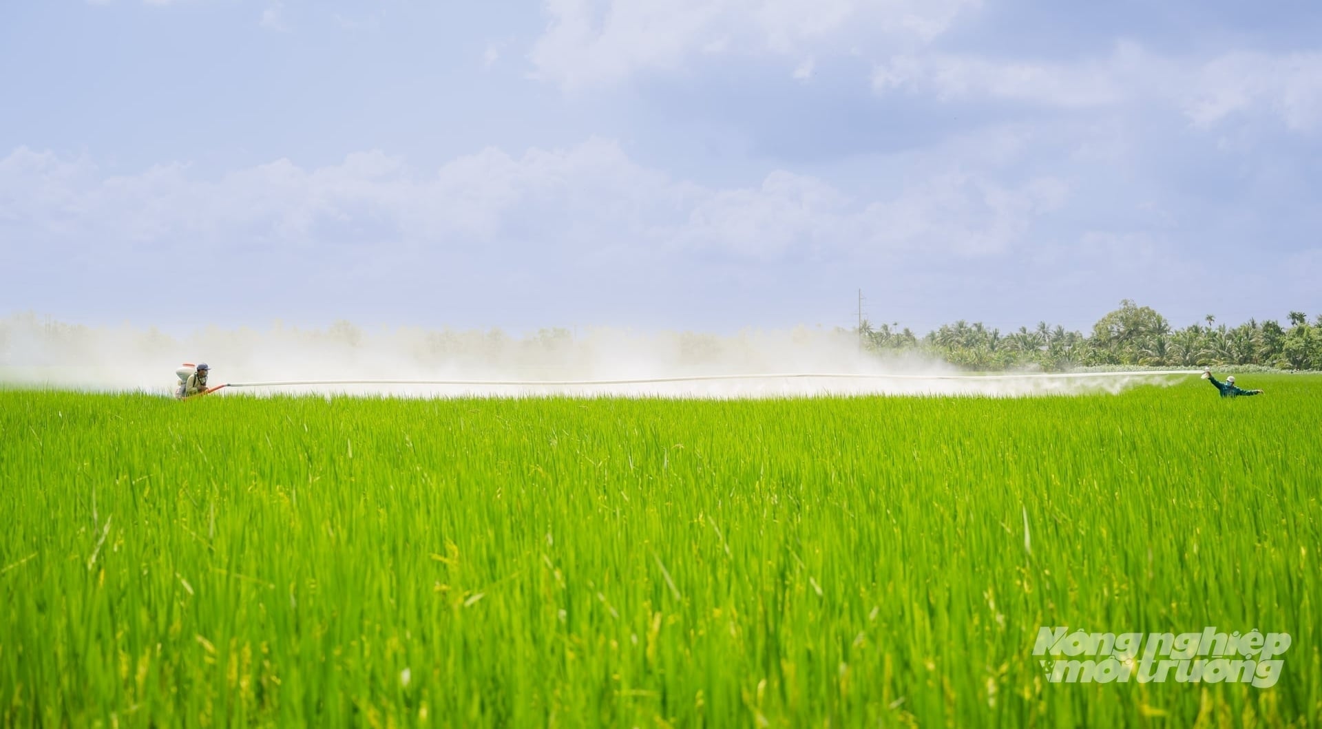 ក្នុងអំឡុងរដូវដាំដុះរដូវក្តៅ-សរទរដូវឆ្នាំ 2025 មជ្ឈមណ្ឌលស្រាវជ្រាវ និងផ្ទេរភាពជឿនលឿននៃបច្ចេកវិទ្យាកសិកម្មនឹងបន្តជួយដល់មូលដ្ឋានក្នុងការពង្រីកគំរូដាំដុះស្រូវដែលកាត់បន្ថយការបំភាយឧស្ម័នផ្ទះកញ្ចក់។ រូបថត៖ មិញសាង។ Trong vụ Hè Thu năm 2025, Trung tâm Nghiên cứu Chuyển giao Tiến bộ Kỹ thuật Nông nghiệp tiếp tục hỗ trợ các địa phương mở rộng các mô hình canh tác lúa giảm phát thải khí nhà kính. Ảnh: Minh Sáng.