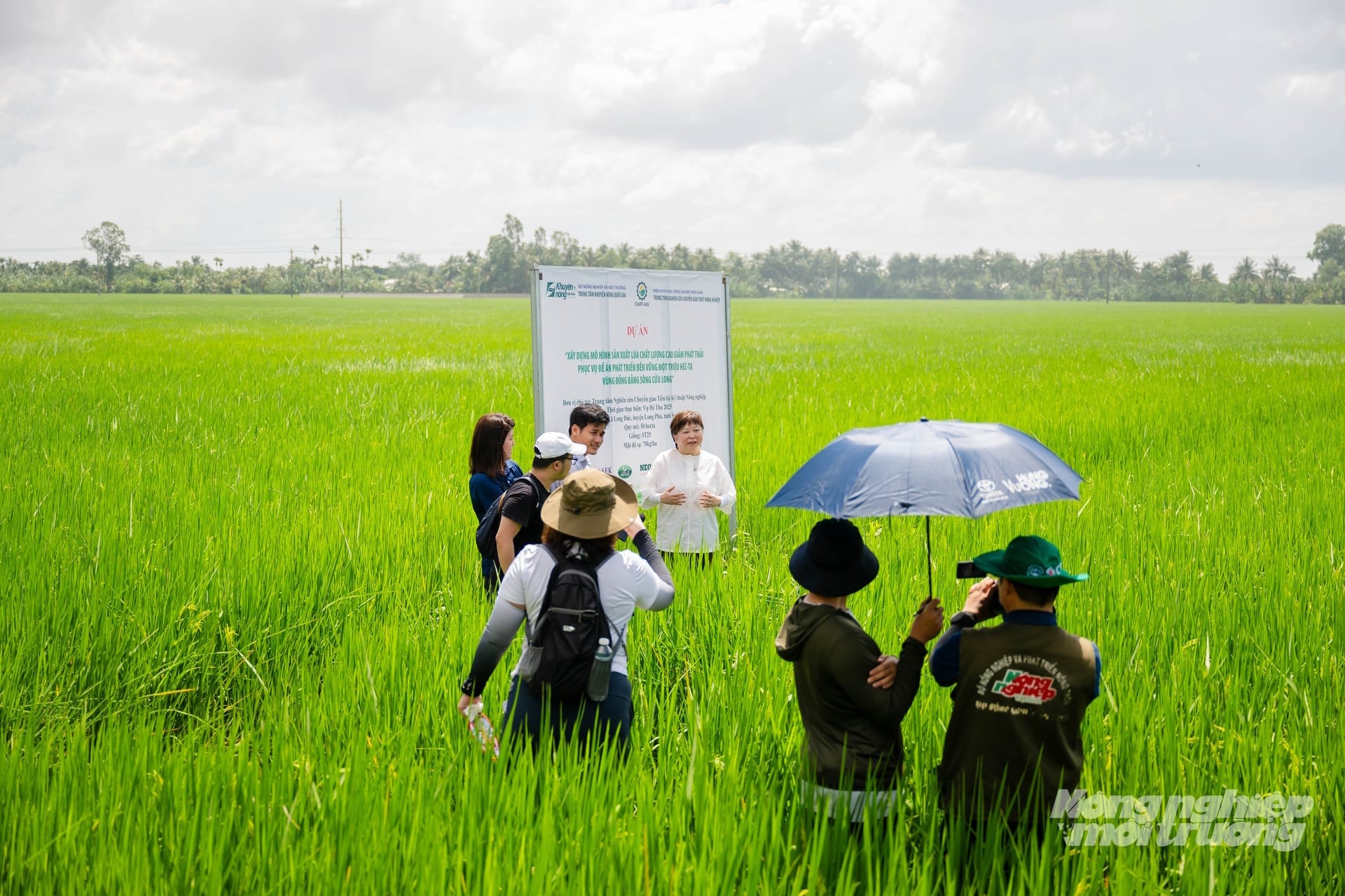ដំណើរការដាំដុះស្រូវដោយប្រើសារធាតុរ៉ែធម្មជាតិ និងការប្រើប្រាស់យន្តហោះគ្មានមនុស្សបើកសម្រាប់ការបាញ់ថ្នាំត្រូវបានស្រាវជ្រាវដោយក្រុមហ៊ុនភាគហ៊ុនរួមនៃគីមីកសិកម្ម AHA សហការជាមួយវិទ្យាស្ថានស្រាវជ្រាវស្រូវដីសណ្តទន្លេមេគង្គ មជ្ឈមណ្ឌលស្រាវជ្រាវការផ្ទេរបច្ចេកវិទ្យាកសិកម្មក្រោមវិទ្យាស្ថានវិទ្យាសាស្ត្រ និងបច្ចេកវិទ្យាកសិកម្មភាគខាងត្បូង និងភ្នាក់ងារឯកទេសផ្សេងទៀត។ រូបថត៖ ហូ ថាវ។ Quy trình canh tác lúa sử dụng khoáng tự nhiên, ứng dụng thiết bị bay không người lái trong phun xịt, do Công ty CP Hóa nông AHA phối hợp với Viện Lúa ĐBSCL, Trung tâm Nghiên cứu Chuyển giao TBKT Nông nghiệp thuộc Viện KHKT NNMN và các cơ quan chuyên môn nghiên cứu. Ảnh: Hồ Thảo.