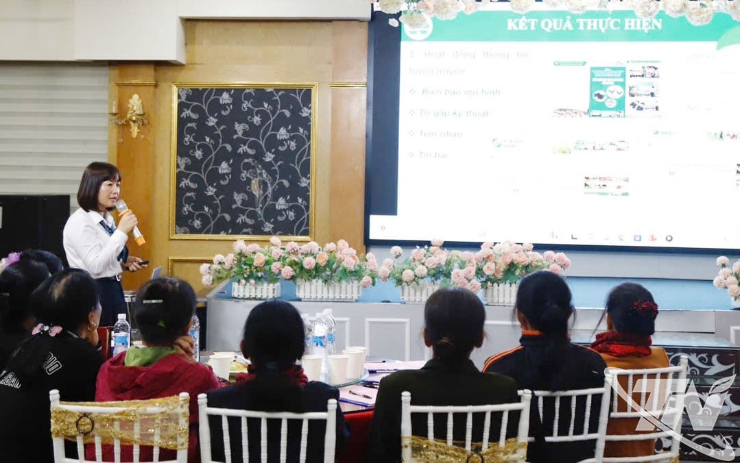 ប្រតិភូចូលរួមសន្និសីទ។