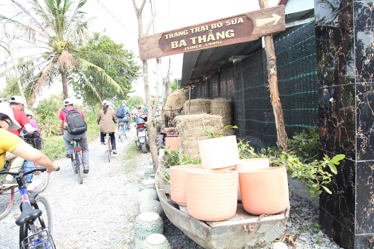 Cục Du lịch Quốc gia Việt Nam tổ chức khảo sát phát triển du lịch nông nghiệp - nông thôn tại các tỉnh Đồng bằng sông Cửu Long - Ảnh 5.