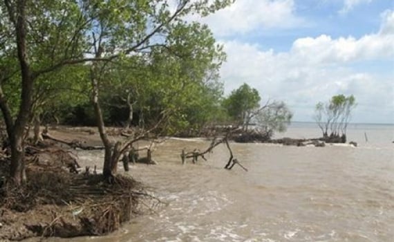 Biến đổi khí hậu và “cuộc đua mới”: Sức mạnh của AI và chuyển đổi số trong quản trị bền vững - Ảnh 1.