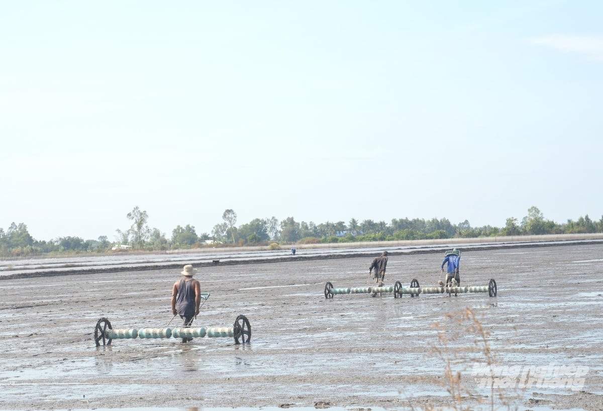Fält som deltar i det 1 miljon hektar stora projektet för högkvalitativt ris tillämpar en omfattande uppsättning tekniska lösningar. Foto: Trung Chánh. Cánh đồng tham gia Đề án 1 triệu ha lúa chất lượng cao áp dụng đồng bộ các giải pháp kỹ thuật. Ảnh: Trung Chánh.