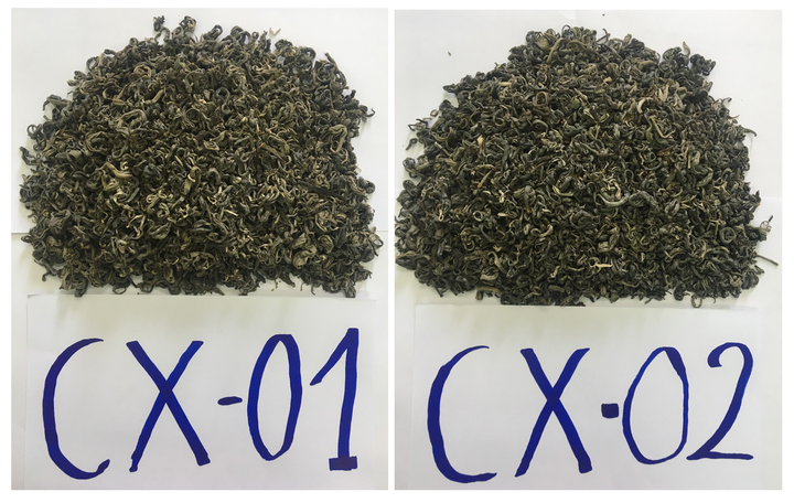 Ochrana zeměpisného označení „Tua Chua“ pro zelený čaj Shan Tuyet a nerafinovaný čaj Pu-erh Shan Tuyet – Fotografie 2. Bảo hộ chỉ dẫn địa lý “Tủa Chùa” cho sản phẩm chè xanh Shan tuyết và chè phổ nhĩ sống Shan tuyết- Ảnh 2.