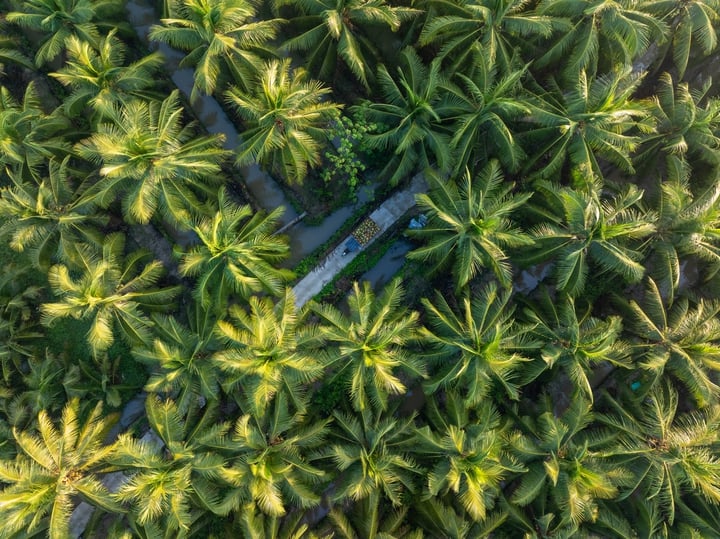 AgriS будує високотехнологічну циркулярну сільськогосподарську екосистему - Фото 1. AgriS xây hệ sinh thái nông nghiệp tuần hoàn công nghệ cao - Ảnh 1.