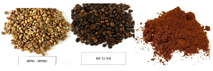 Skydd av den geografiska beteckningen Bảo hộ chỉ dẫn địa lý “Khe Sanh” cho sản phẩm cà phê- Ảnh 2.