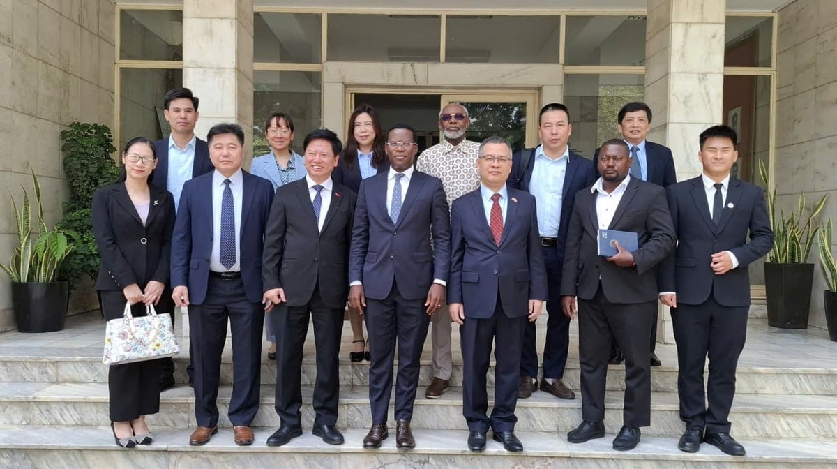 Den vietnamesiska delegationen arbetar med det angolanska jordbruks- och skogsbruksministeriet. Foto: ICD. Đoàn công tác Việt Nam làm việc tại Bộ Nông nghiệp và Lâm nghiệp Angola. Ảnh: ICD.