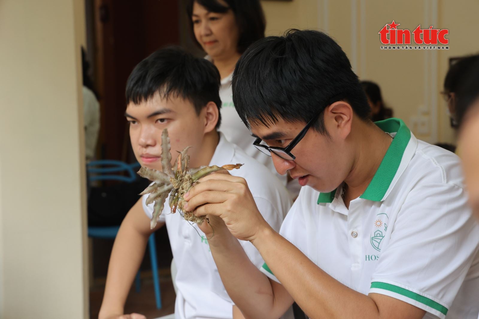 ចំណងជើងរូបថត