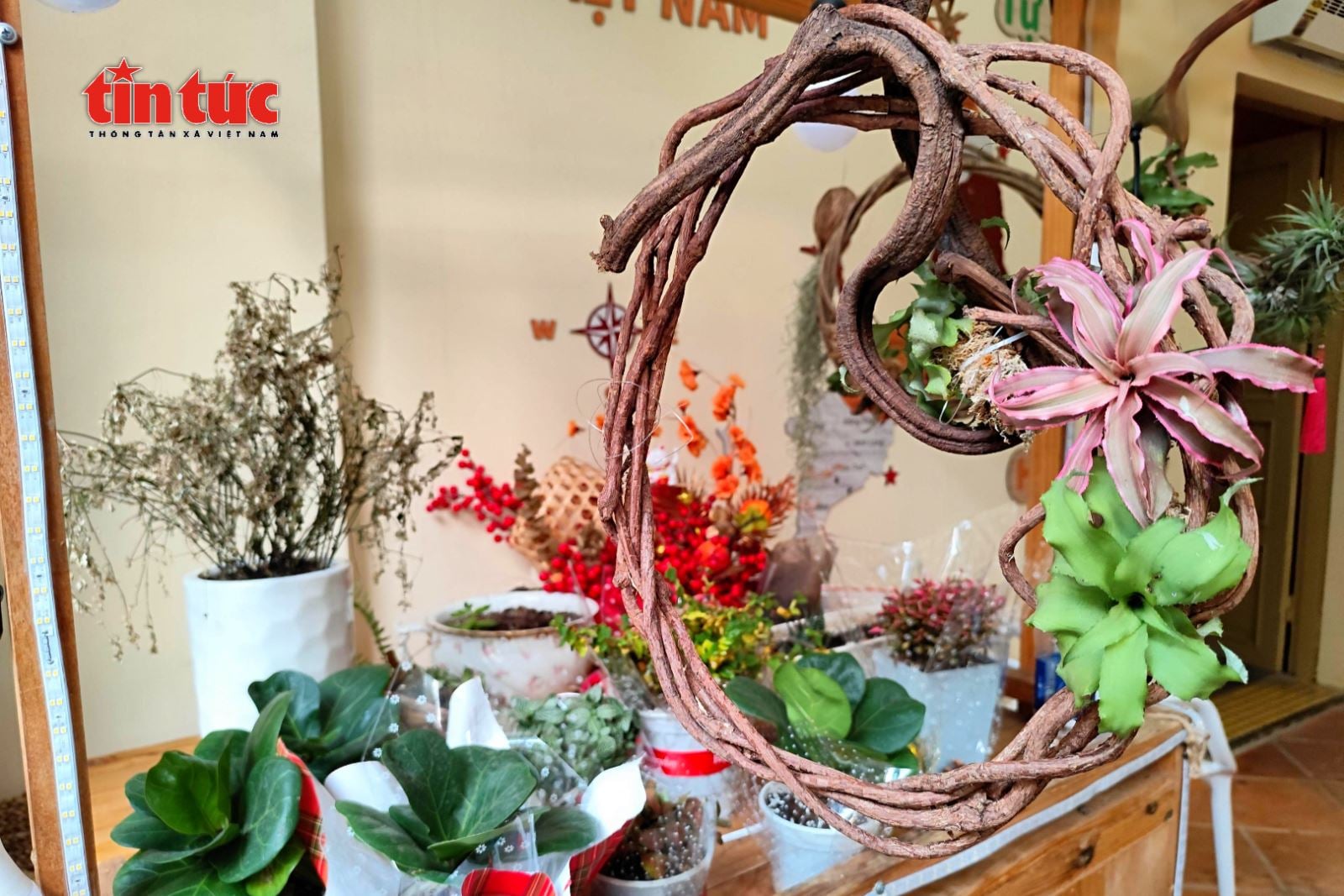 ចំណងជើងរូបថត