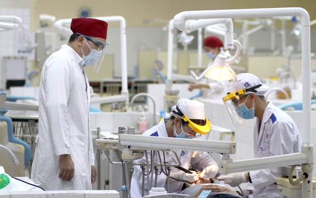 Đảm bảo quyền tự chủ thực chất cho giáo dục đại học - Ảnh 1.