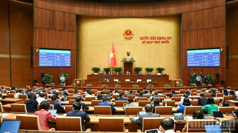 O imagine a sesiunii Adunării Naționale din 10 decembrie 2025. (Foto: DUY LINH)