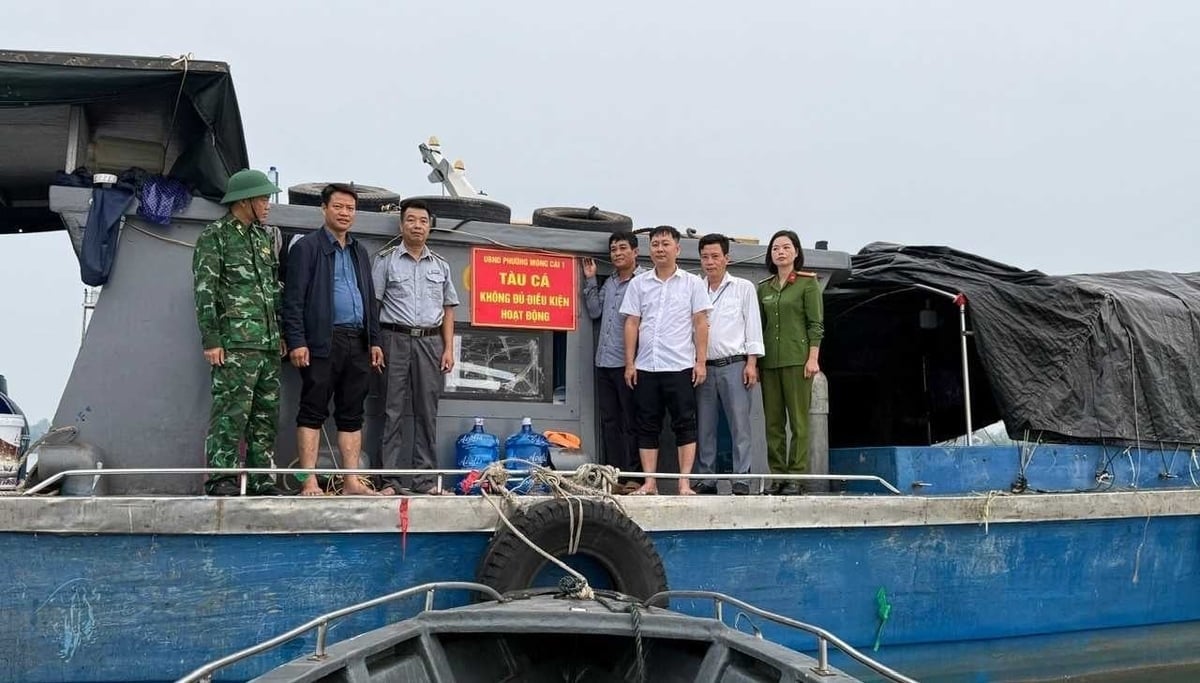 כלי שיט דיג שאינם עומדים בדרישות התפעול מסומנים בלוחות רישוי. צילום: Thu Hien. Các tàu cá không đủ điều kiện hoạt động được gắn biển. Ảnh: Thu Hiền.