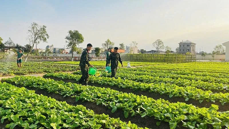 Efterföljarkampanj för seger i de provinsiella väpnade styrkorna: Kopplar samman partibyggande arbete med att studera och följa president Ho Chi Minhs läror.