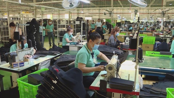 Kỳ vọng tăng lương tối thiểu vùng - Ảnh 6.