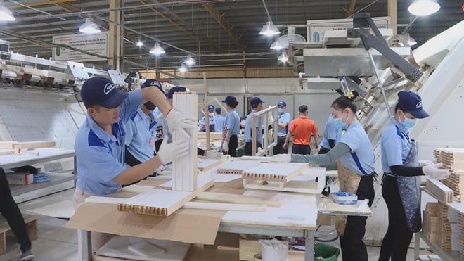 Kỳ vọng tăng lương tối thiểu vùng - Ảnh 7.