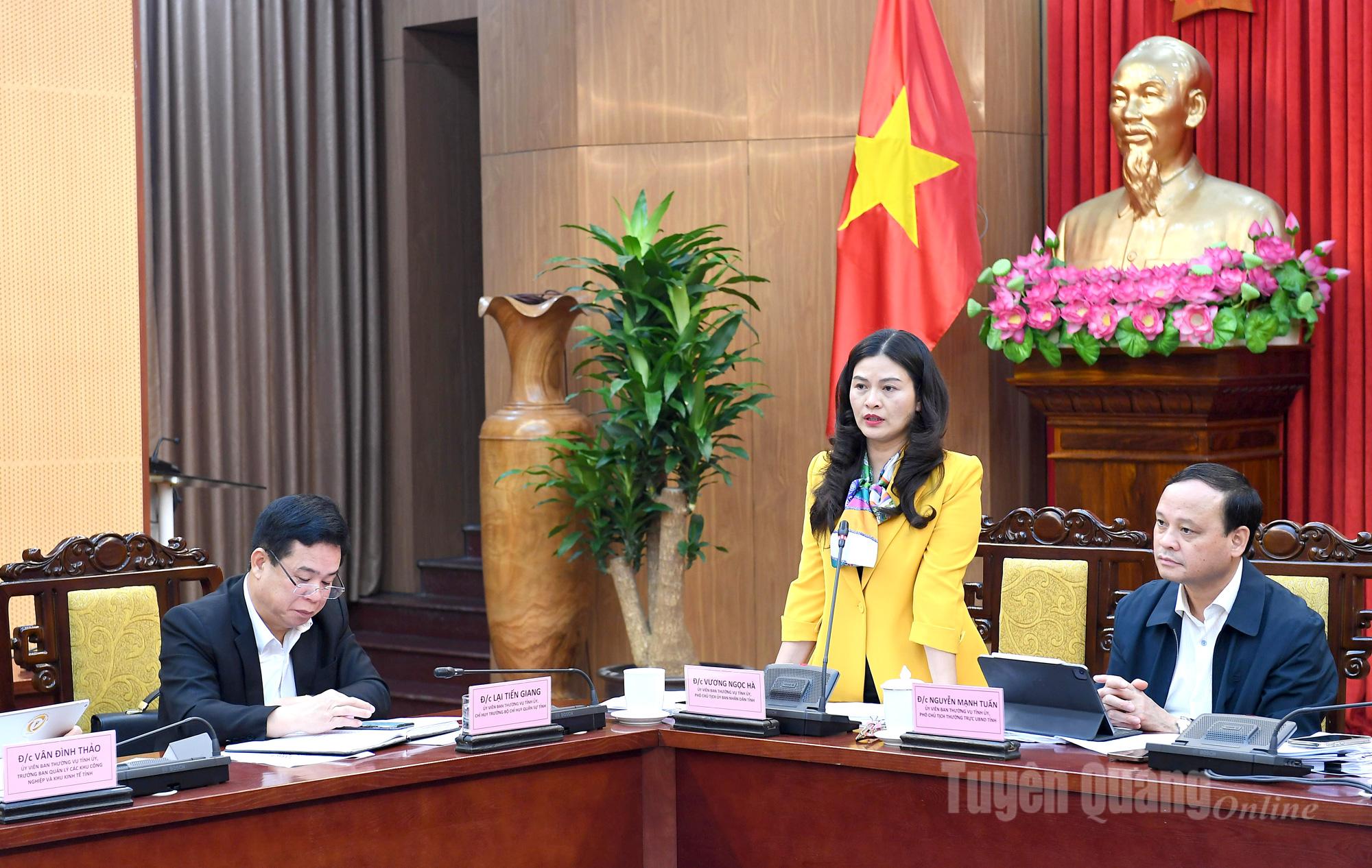 Genosse Vuong Ngoc Ha, stellvertretender Vorsitzender des Provinzvolkskomitees, nahm an der Diskussion auf der Konferenz teil.